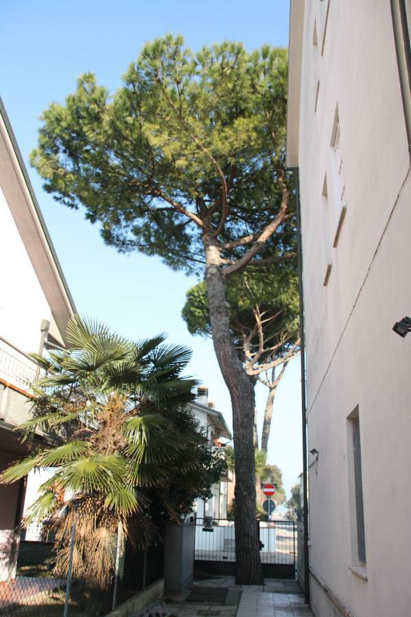 Appartamento Marina Punta Marina Exteriér fotografie